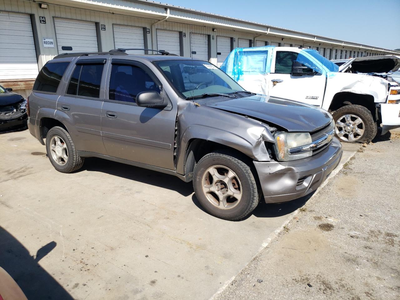 2006 Chevrolet Trailblazer Ls VIN: 1GNDT13S462346004 Lot: 74368454