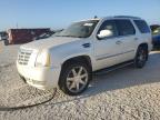 2007 Cadillac Escalade Luxury продається в Arcadia, FL - Water/Flood