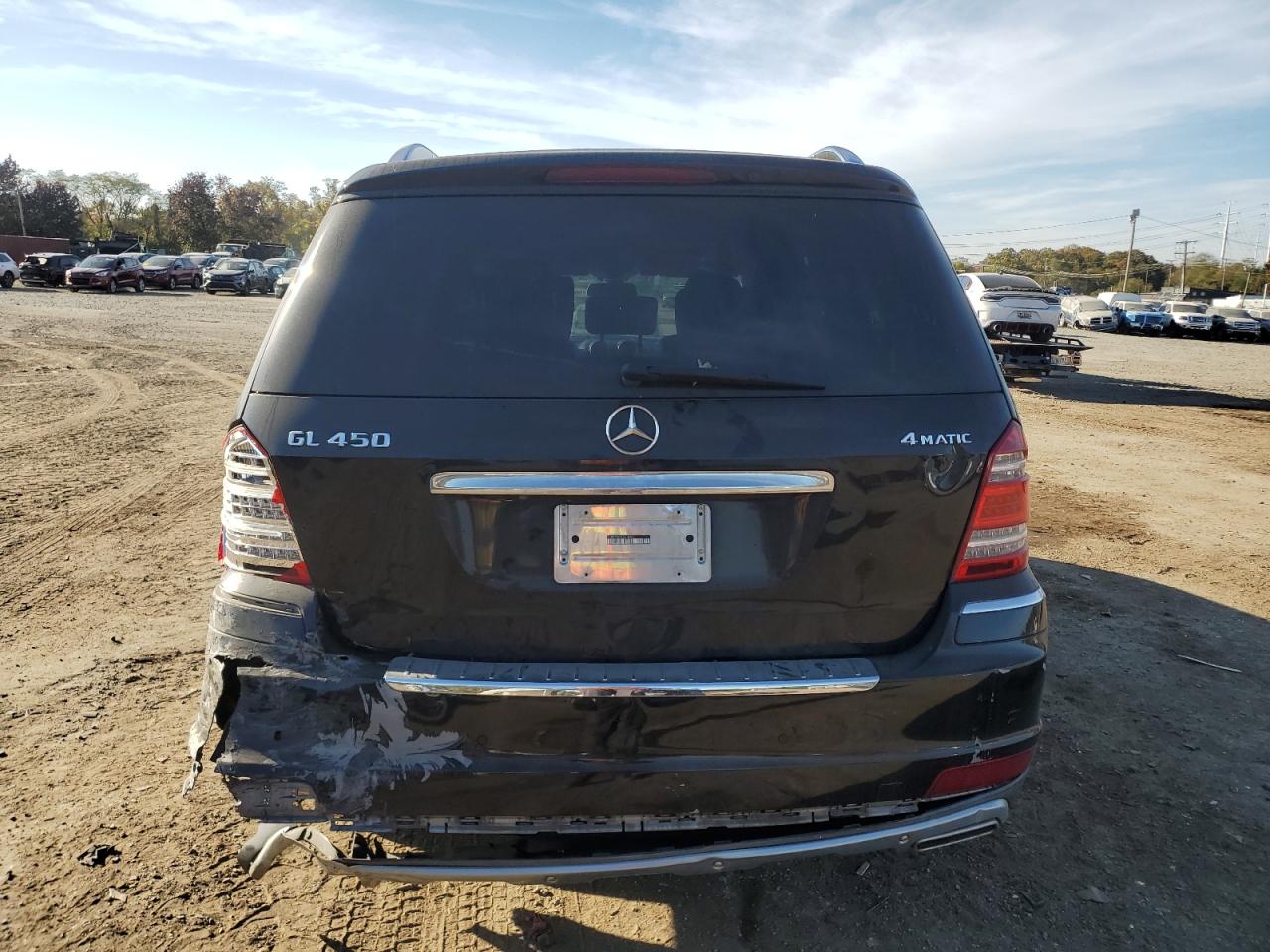 2010 Mercedes-Benz Gl 450 4Matic VIN: 4JGBF7BE2AA610501 Lot: 77754904