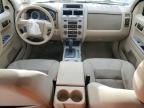 2008 Ford Escape Xlt en Venta en Windsor, NJ - Front End