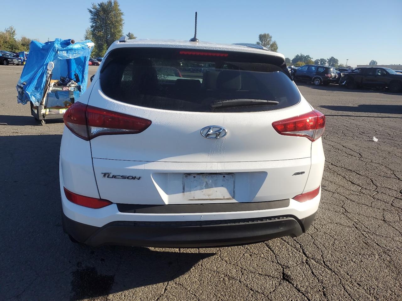 2017 Hyundai Tucson Limited VIN: KM8J3CA47HU313755 Lot: 74759104