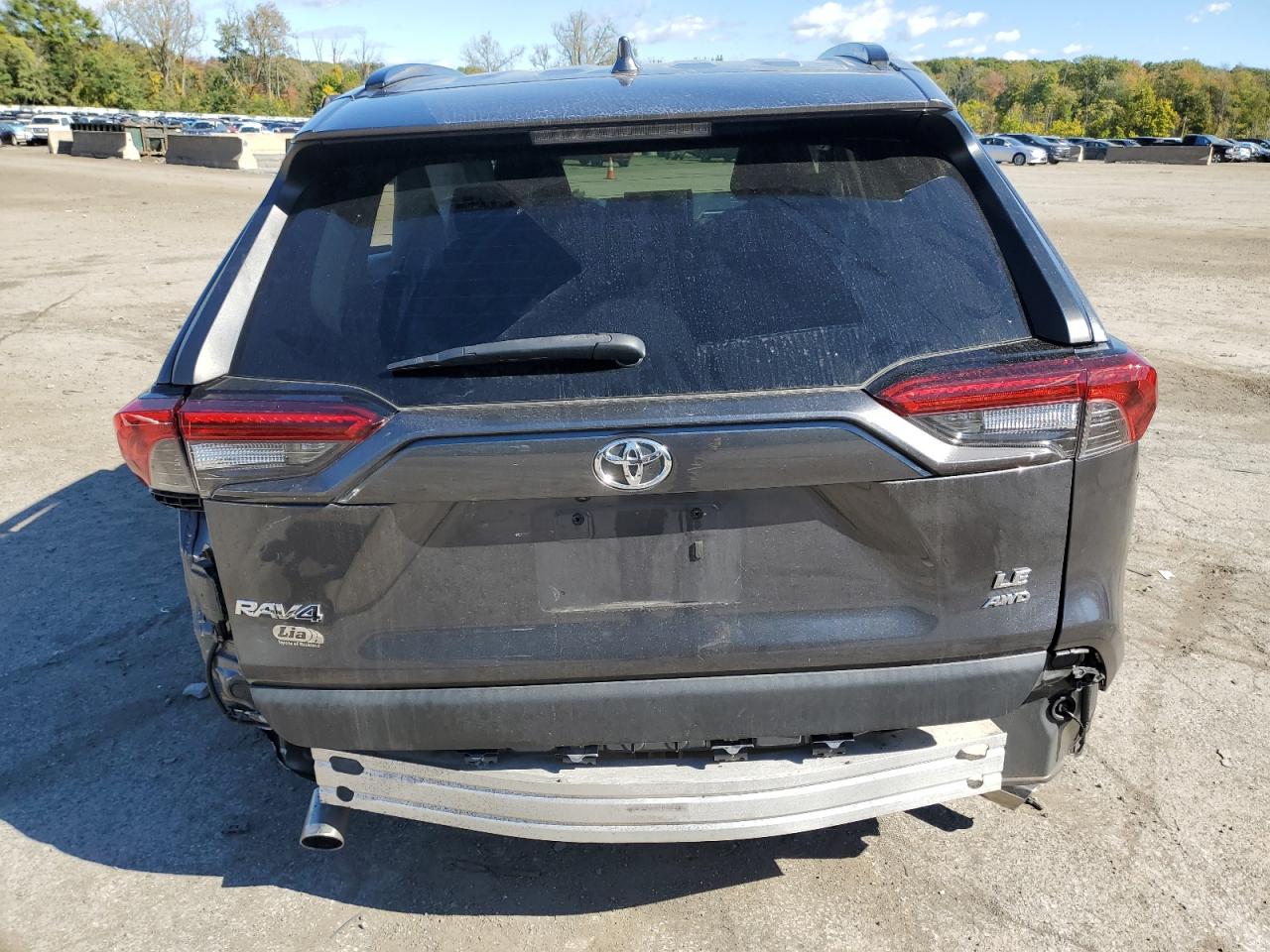 2019 Toyota RAV 4 - Image 6