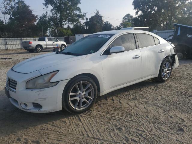 Sedans NISSAN MAXIMA 2013 Biały