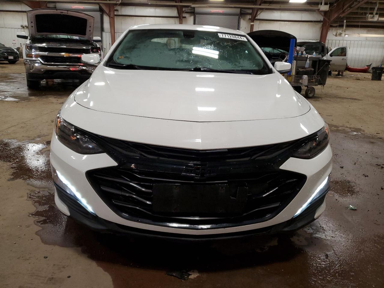 2019 Chevrolet Malibu Lt VIN: 1G1ZD5ST3KF176226 Lot: 77120844