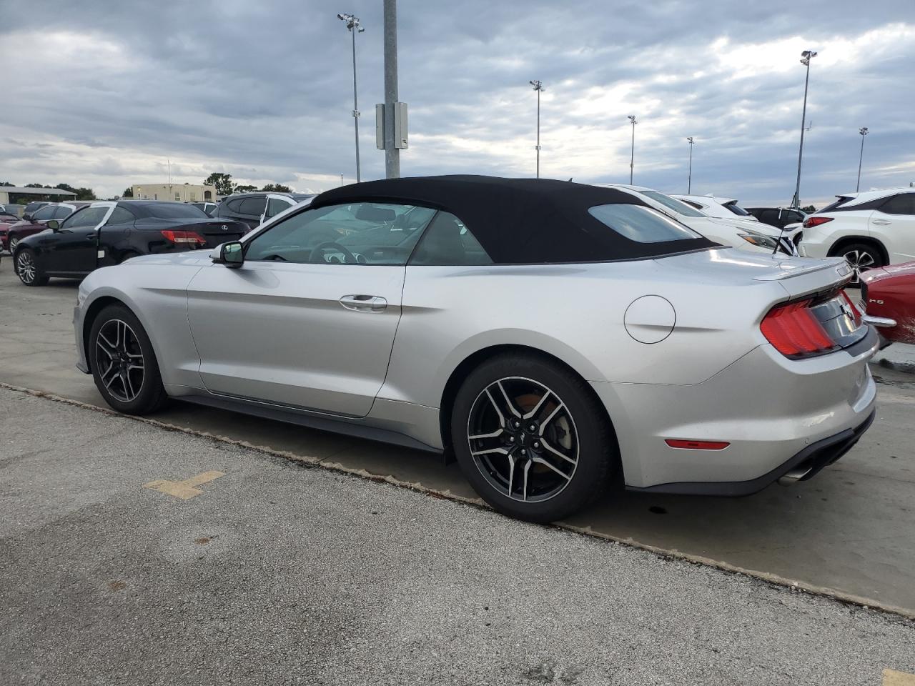 1FATP8UH2K5181749 2019 FORD MUSTANG - Image 2