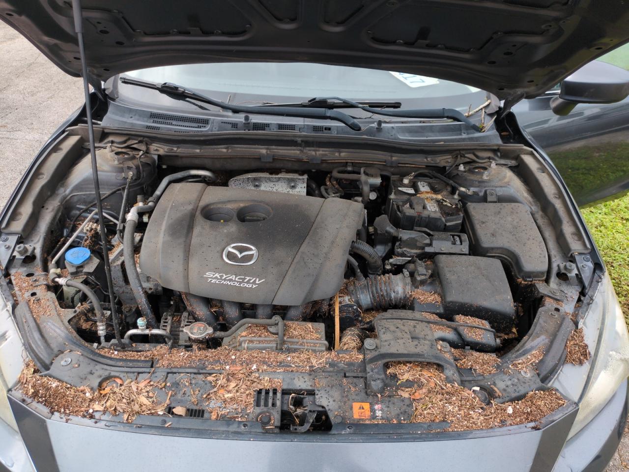 2014 Mazda 3 Grand Touring VIN: JM1BM1M72E1191190 Lot: 75078284