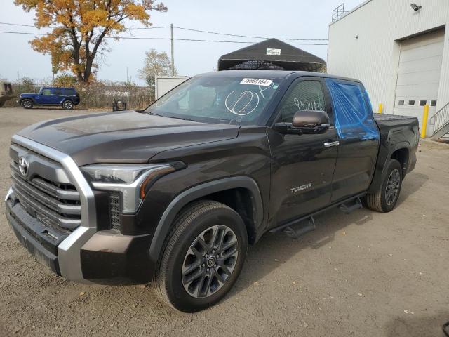  TOYOTA TUNDRA 2023 Коричневий