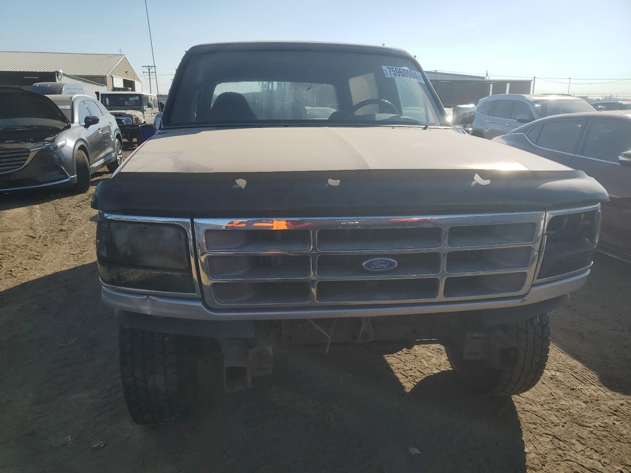 1996 Ford Bronco U100 VIN: 1FMEU15H2TLB67974 Lot: 75960594