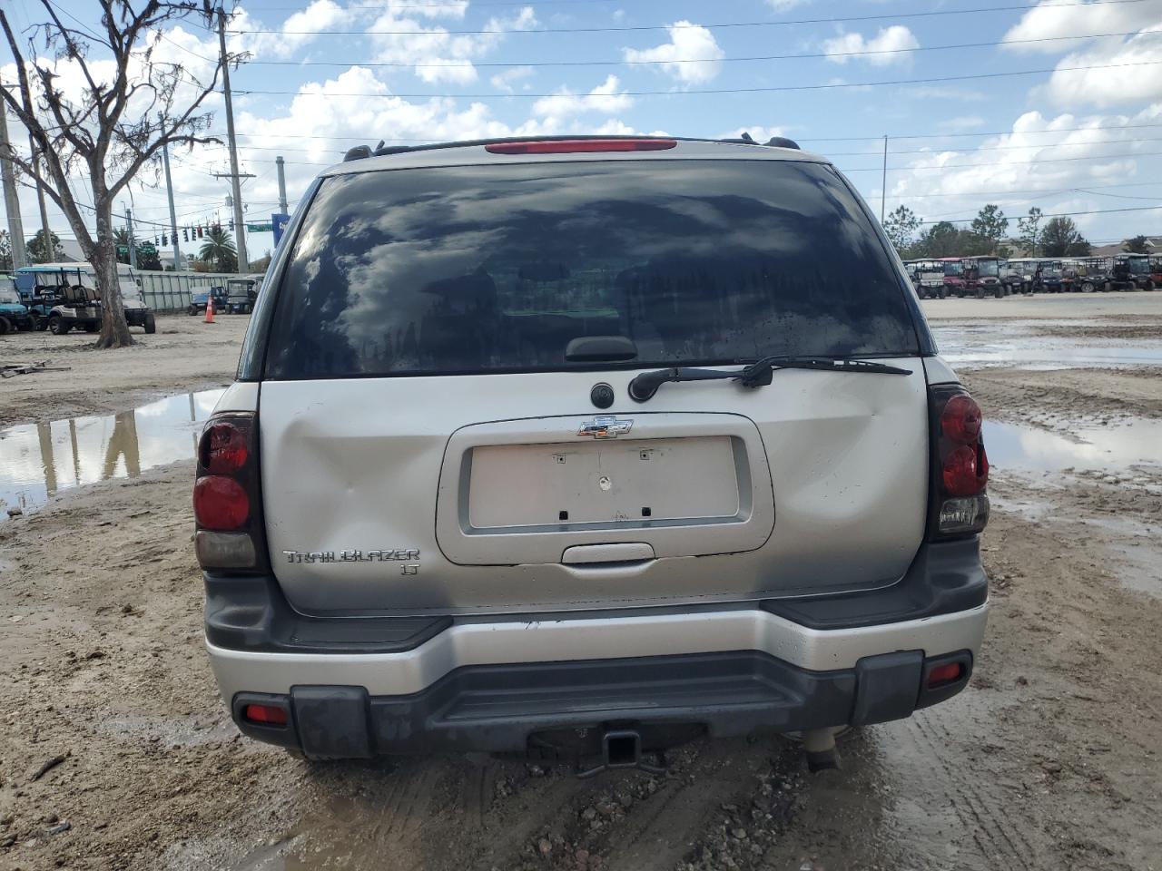 2005 Chevrolet Trailblazer Ls VIN: 1GNDT13S752381358 Lot: 78595724