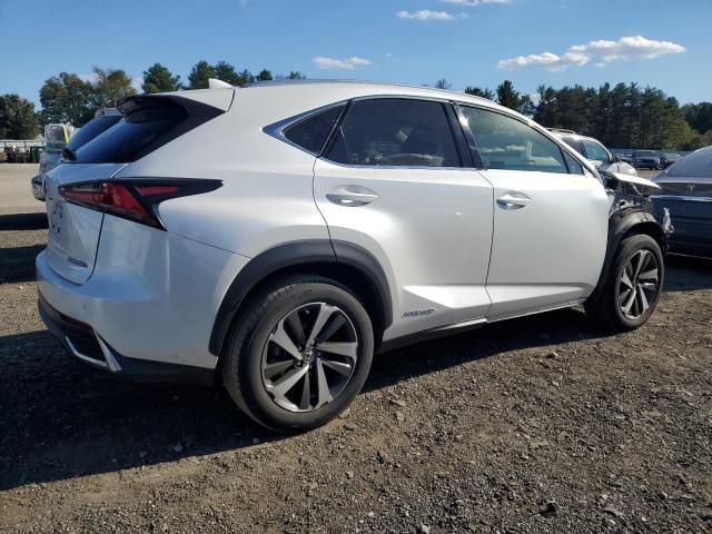  LEXUS NX 2020 Білий