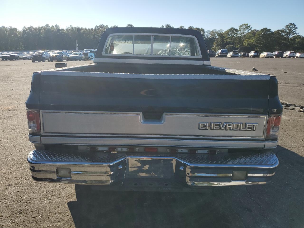 2GCDC14H4C1210656 1982 Chevrolet C10