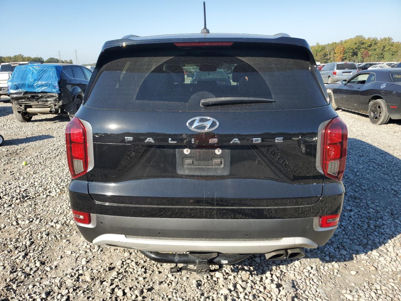 2020 Hyundai Palisade Sel VIN: KM8R34HE8LU154504 Lot: 78407814