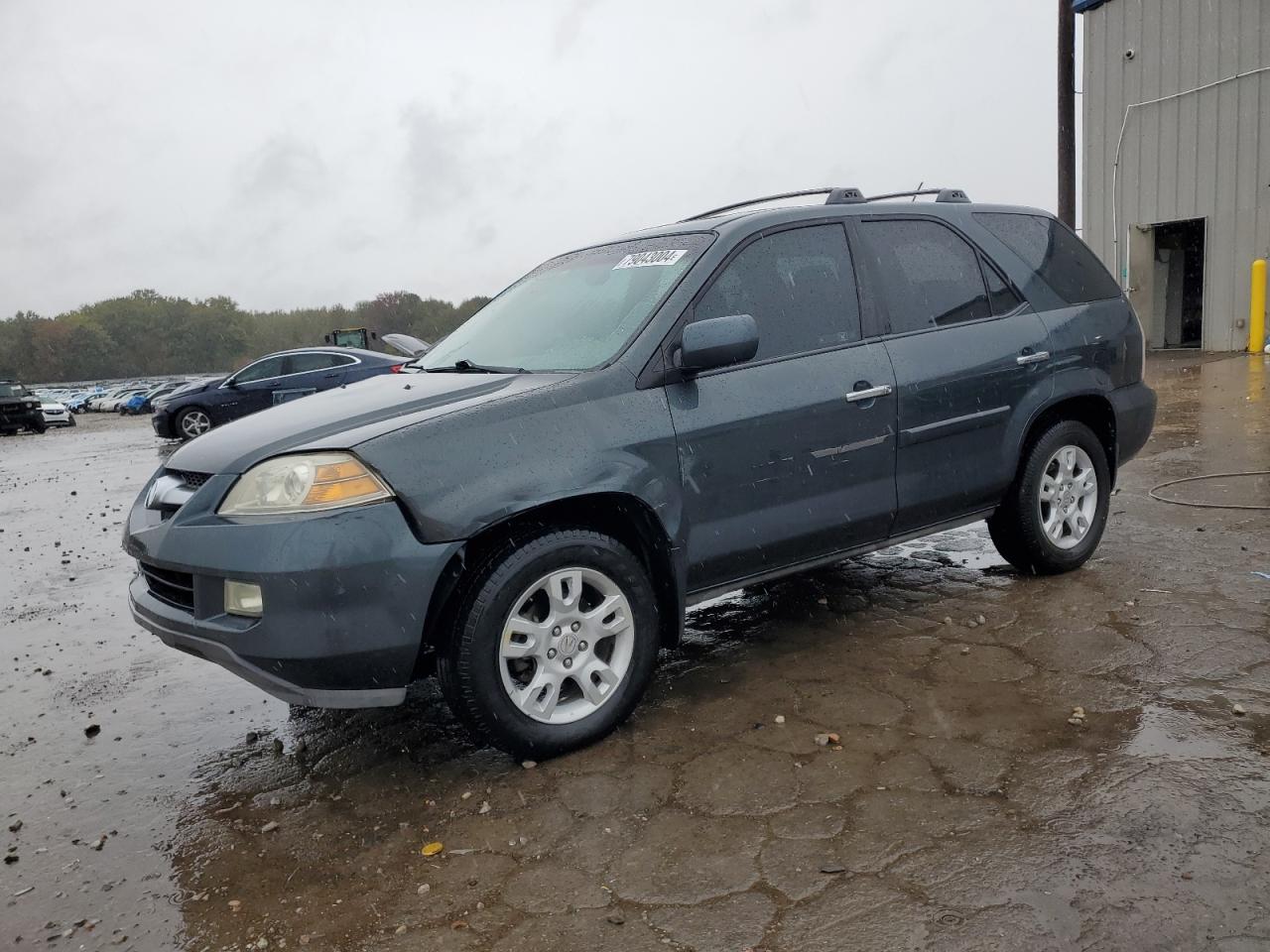 2004 Acura Mdx Touring VIN: 2HNYD18934H541667 Lot: 79043004