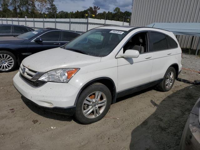 2010 Honda Cr-V Exl на продаже в Spartanburg, SC - Water/Flood