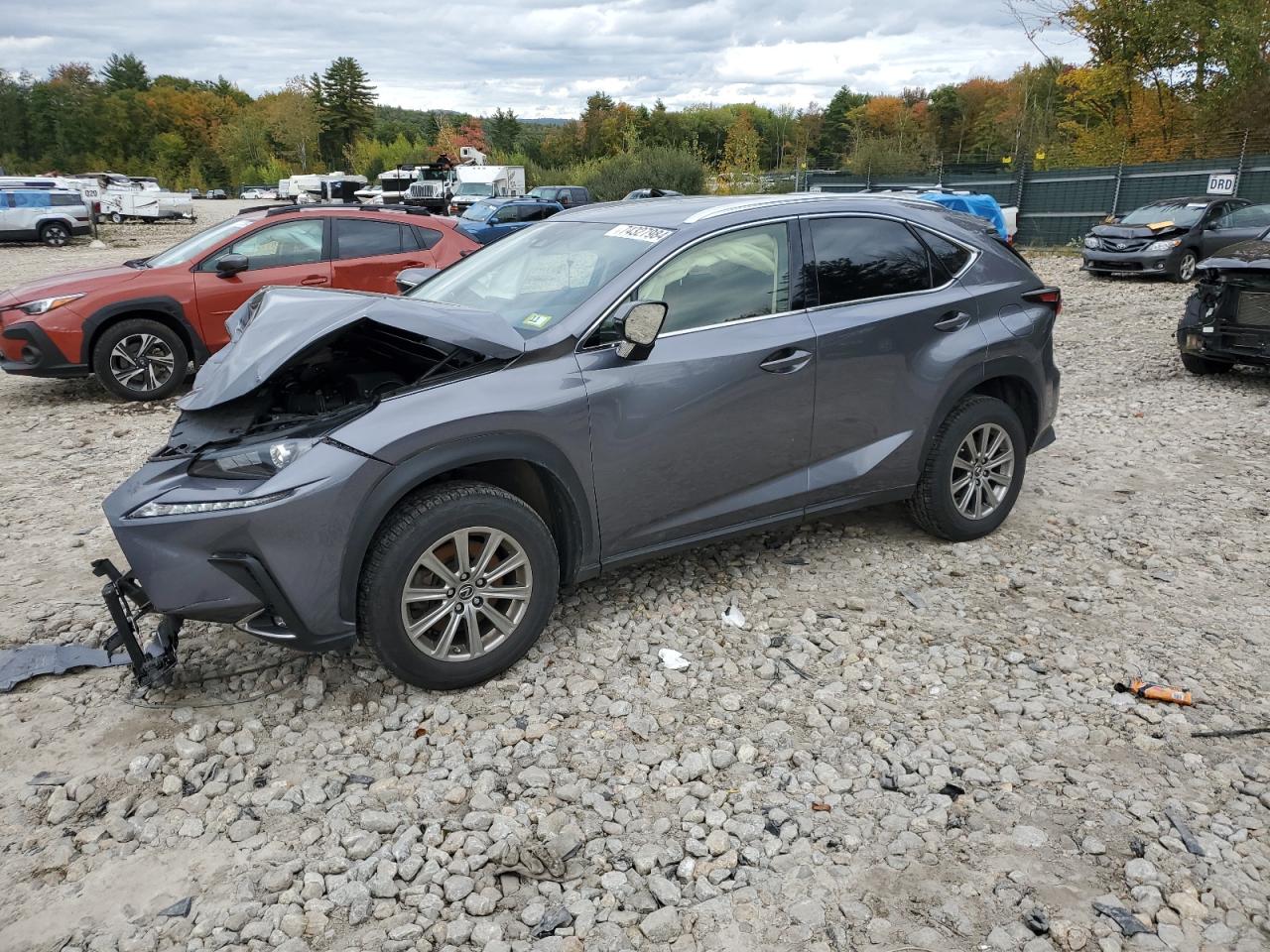 2021 Lexus NX - Image 1