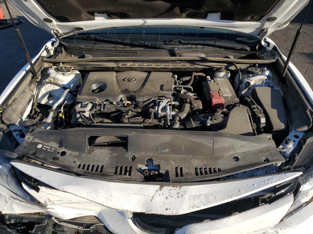 4T1B11HK8KU739707 2019 Toyota Camry L