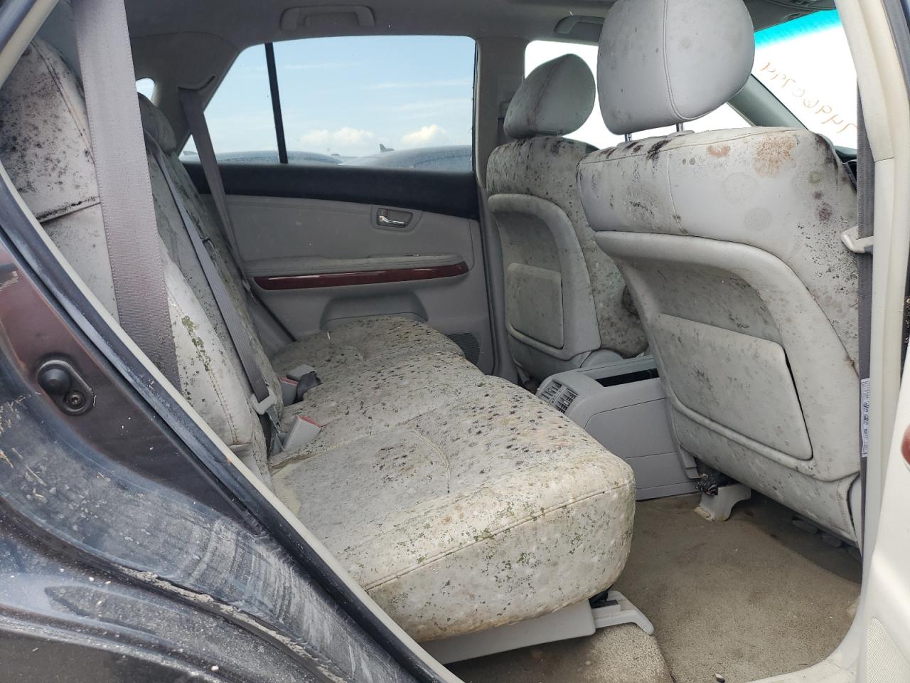 2004 Lexus RX - Image 11