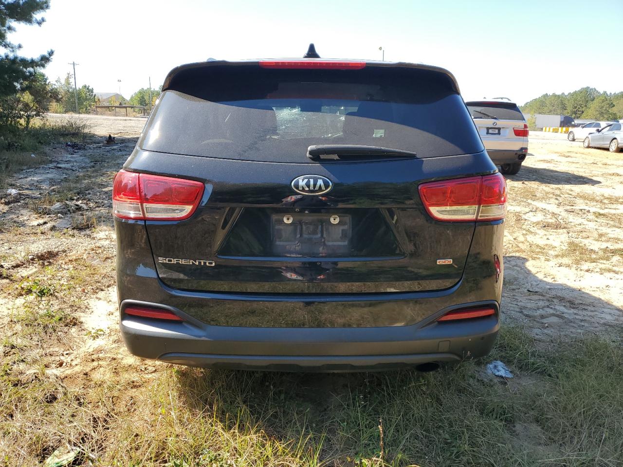 2017 Kia Sorento Lx VIN: 5XYPG4A30HG282785 Lot: 77548804