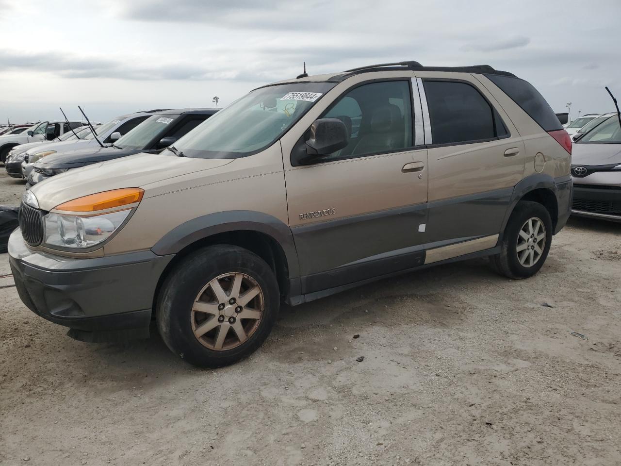 2003 Buick Rendezvous Cx de vânzare în Riverview, FL - Water/Flood