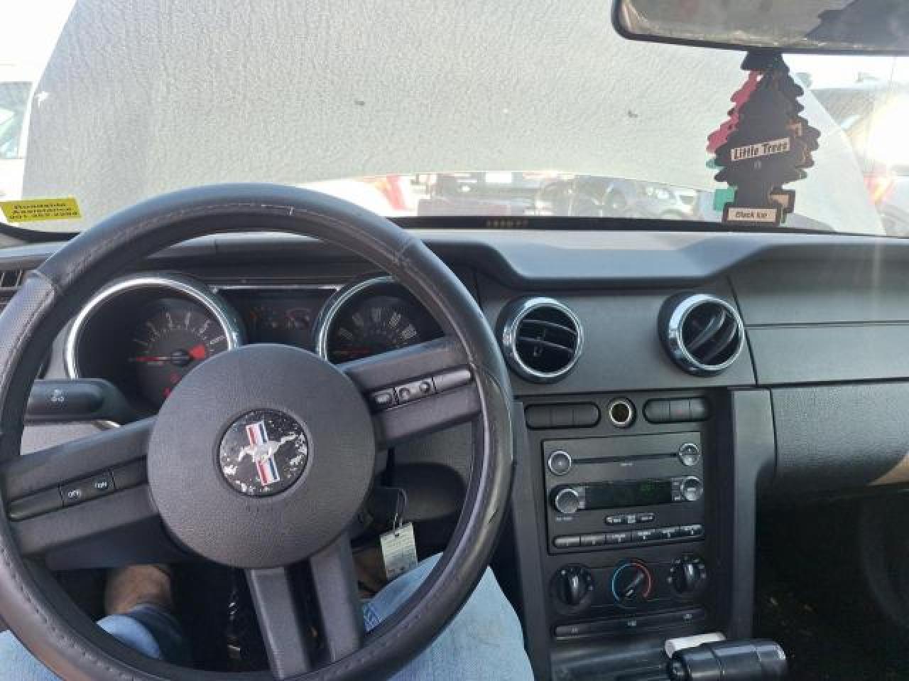 2009 Ford Mustang VIN: 1ZVHT80NX95138839 Lot: 76293544