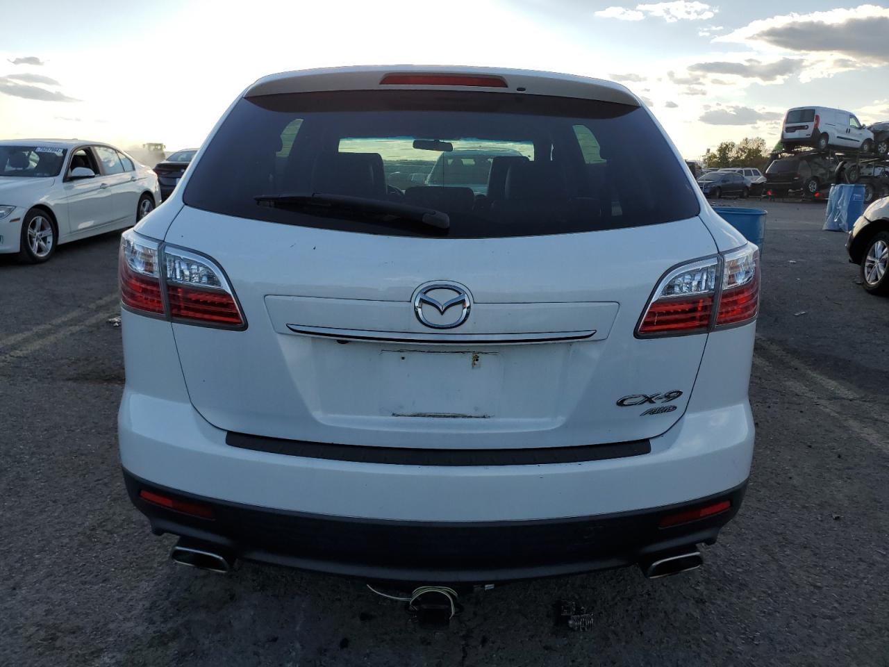 2010 Mazda Cx-9 VIN: JM3TB3MV6A0230729 Lot: 75553404