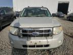 2008 Ford Escape Xlt en Venta en Windsor, NJ - Front End