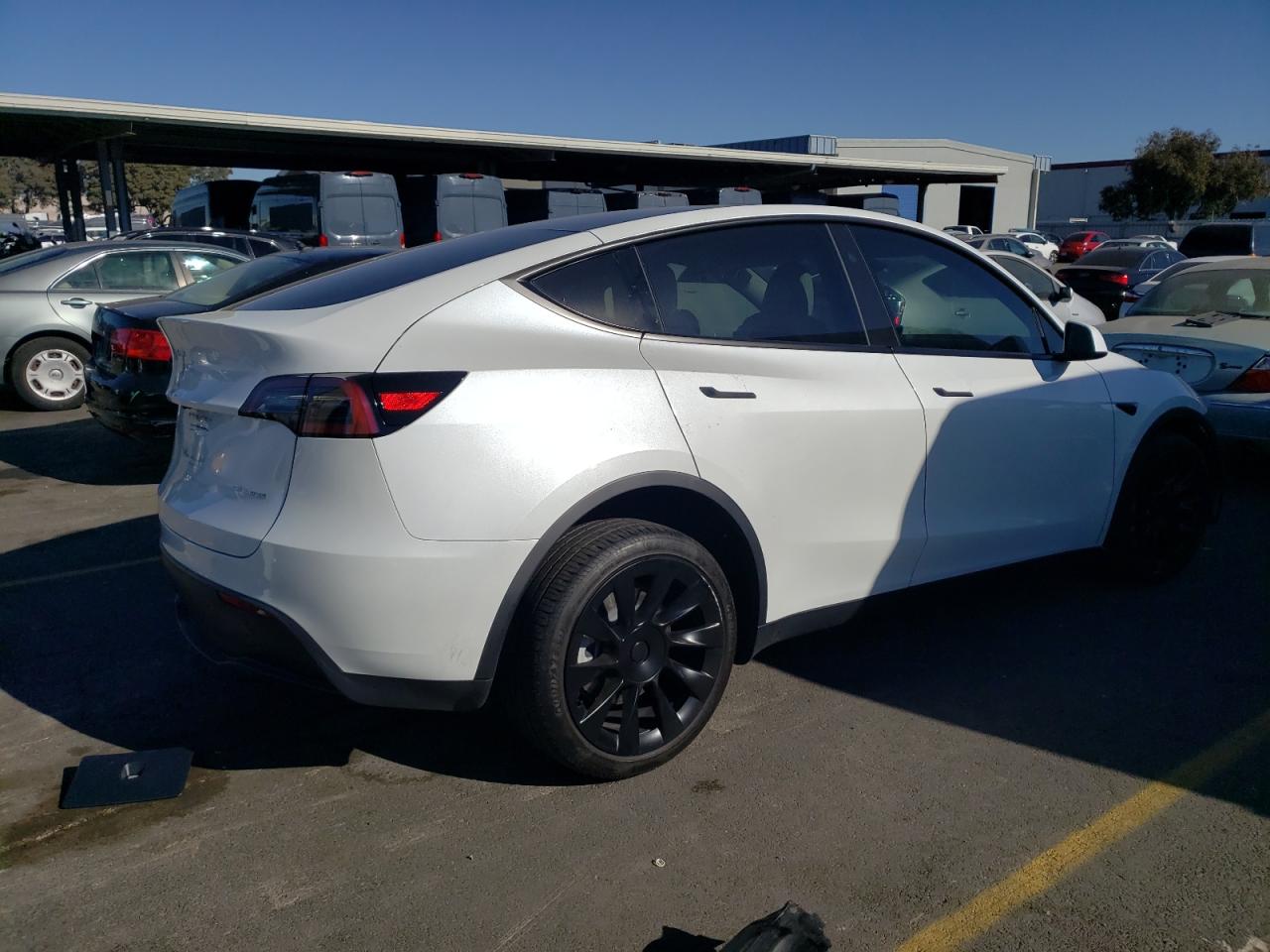 VIN 7SAYGDEE4RF982546 2024 TESLA MODEL Y no.3