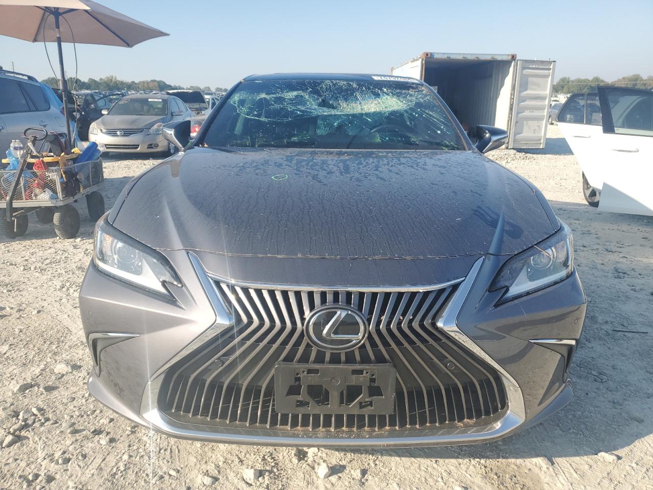 2019 Lexus ES - Image 5