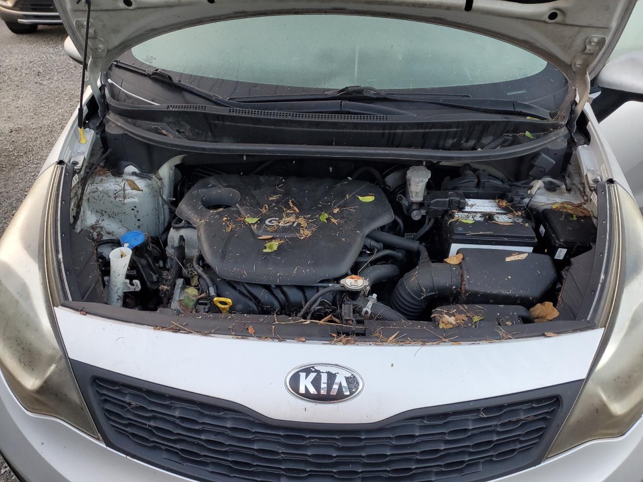 KNADM4A31F6480512 2015 Kia Rio Lx