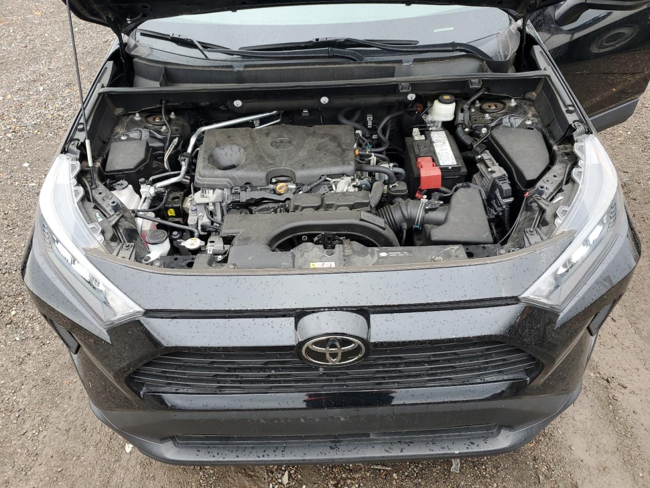 2020 Toyota Rav4 Le VIN: 2T3H1RFV5LC063720 Lot: 77943674