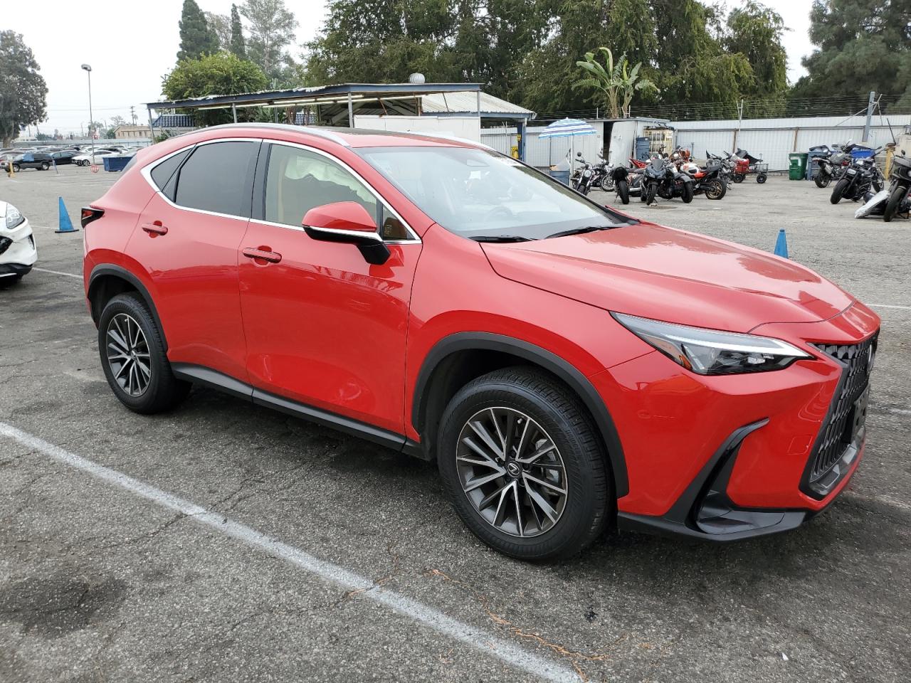 2024 Lexus NX - Image 4