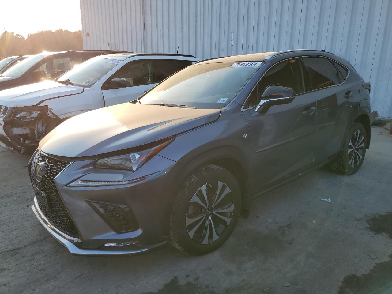 2020 Lexus NX - Image 1