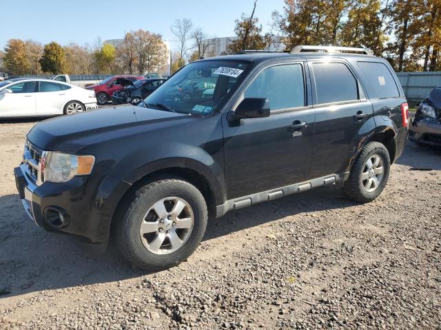 2010 Ford Escape Limited იყიდება Central Square-ში, NY - Normal Wear