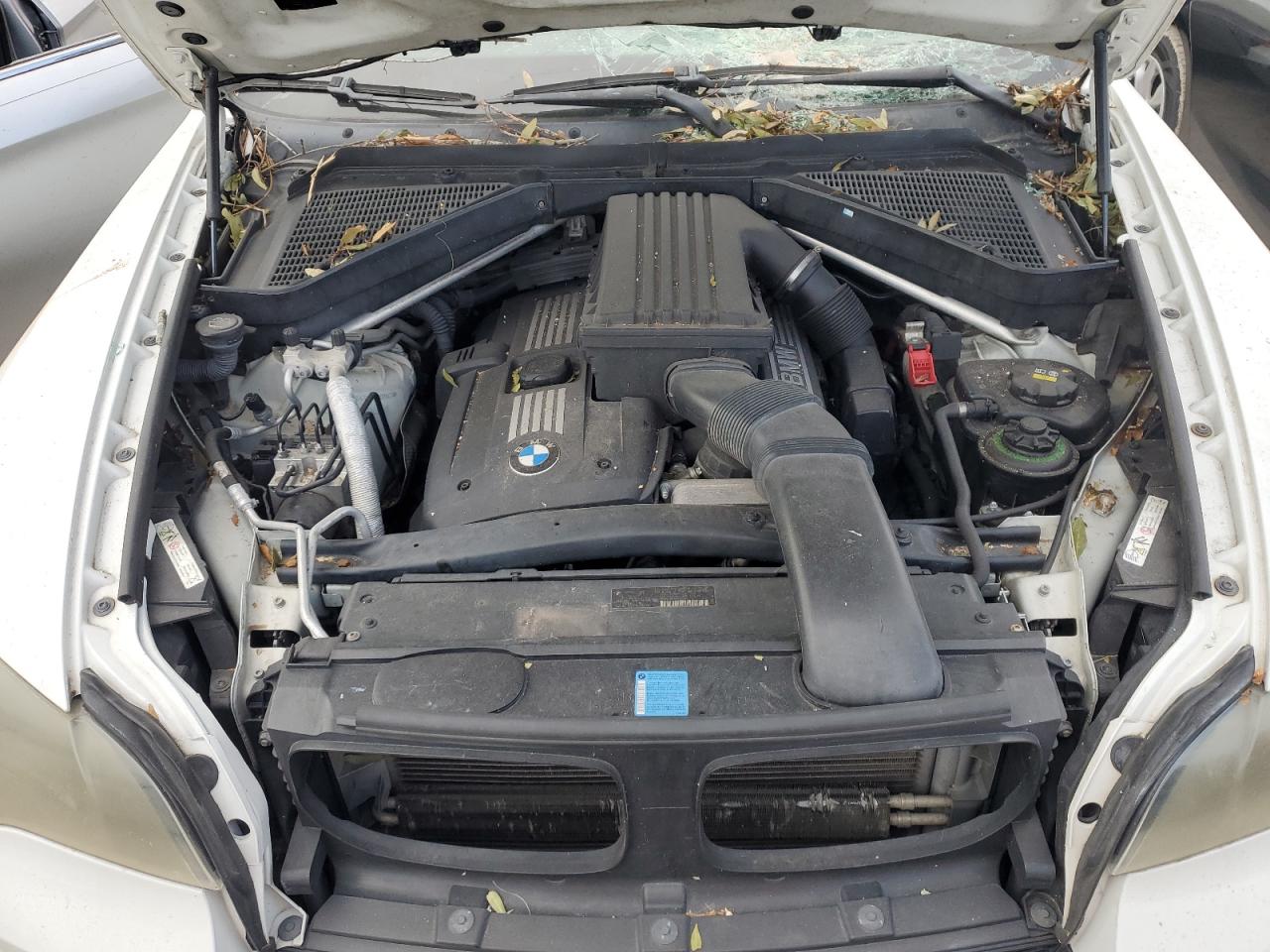 5UXFE435X8L007847 2008 BMW X5 3.0I