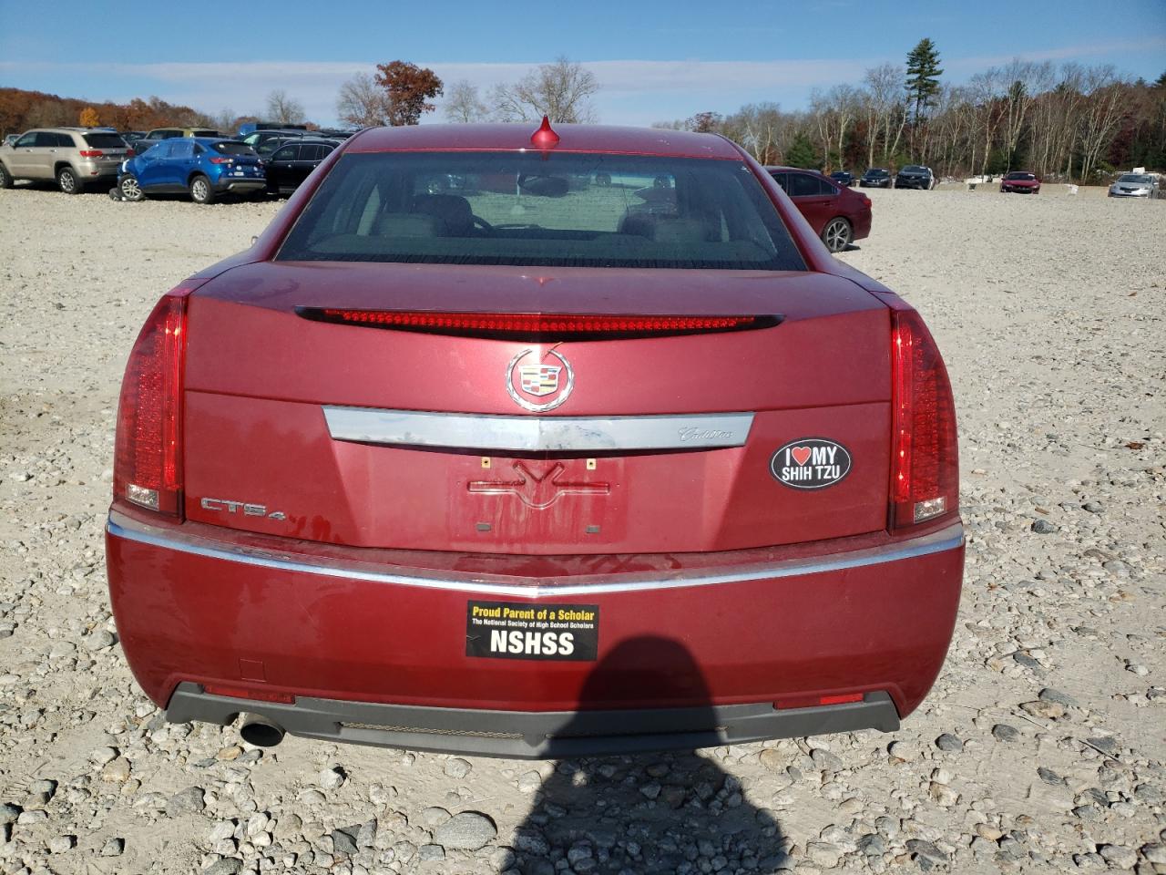 2011 Cadillac Cts VIN: 1G6DC5EY7B0123952 Lot: 77959594