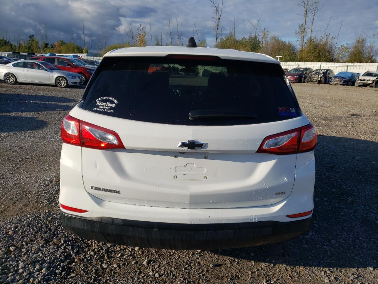 2019 Chevrolet Equinox Ls VIN: 2GNAXSEV2K6212237 Lot: 74090364