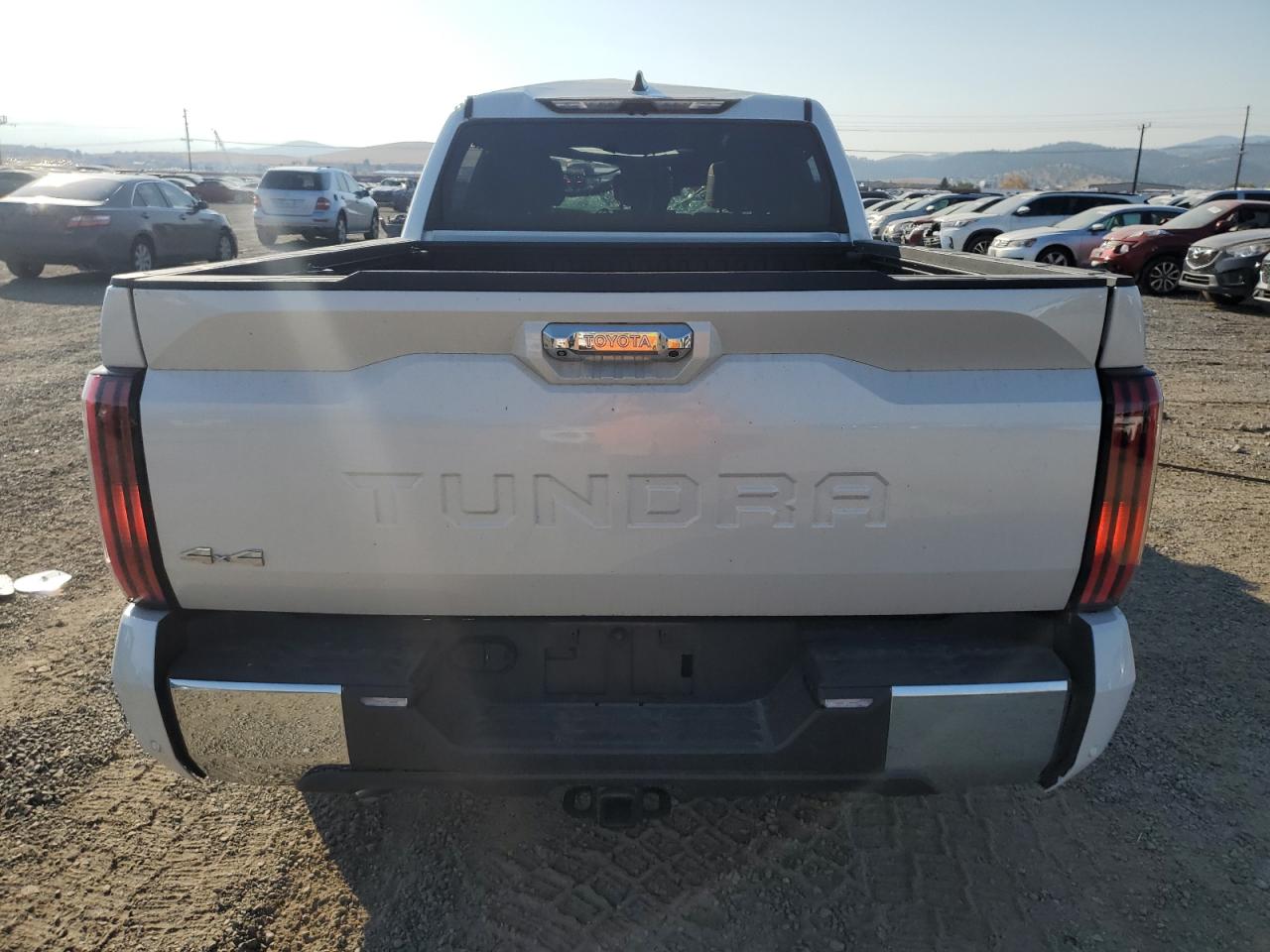 2023 Toyota Tundra Crewmax Platinum VIN: 5TFMC5EC8PX003822 Lot: 74786984