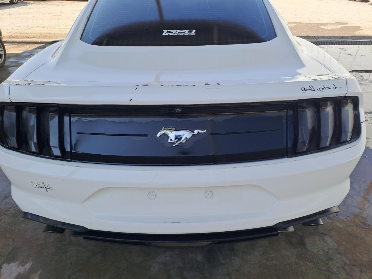 1FA6P8TH1L5124653 - 2020 Ford Mustang - #77294774