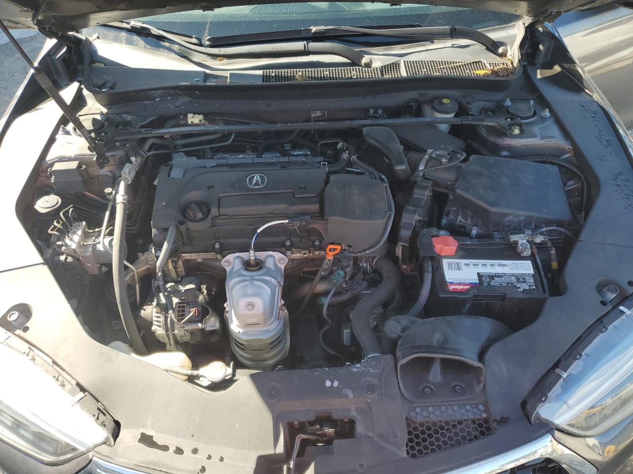 19UUB1F39KA008695 2019 Acura Tlx