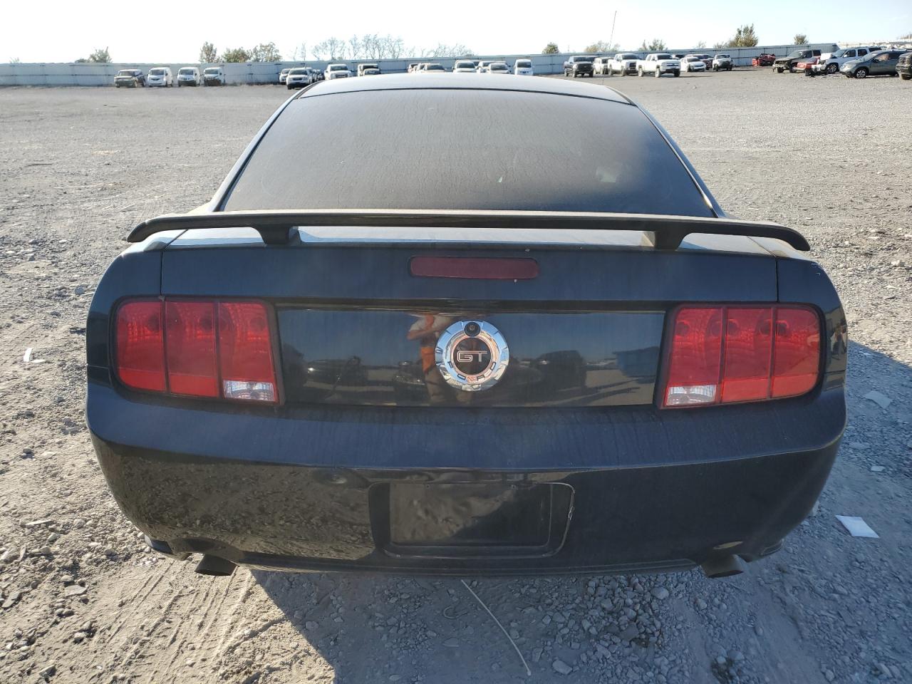 2006 Ford Mustang Gt VIN: 1ZVFT82H165231484 Lot: 78728634