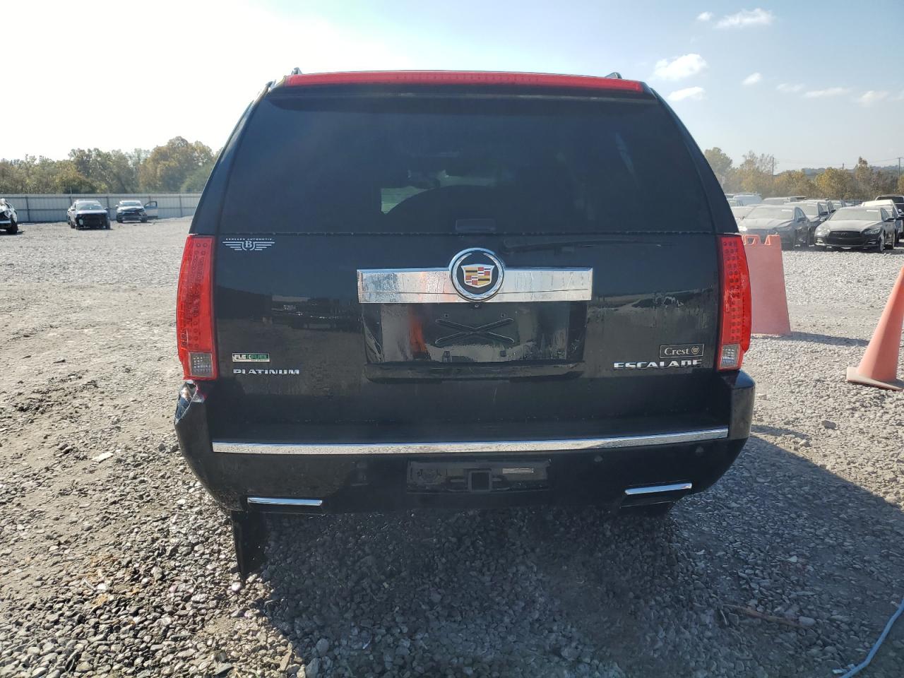 2012 Cadillac Escalade Platinum VIN: 1GYS4DEF1CR324506 Lot: 77648884