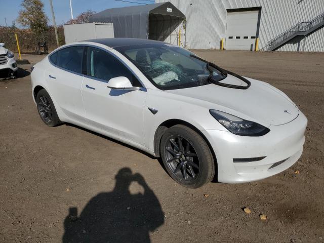  TESLA MODEL 3 2019 Білий