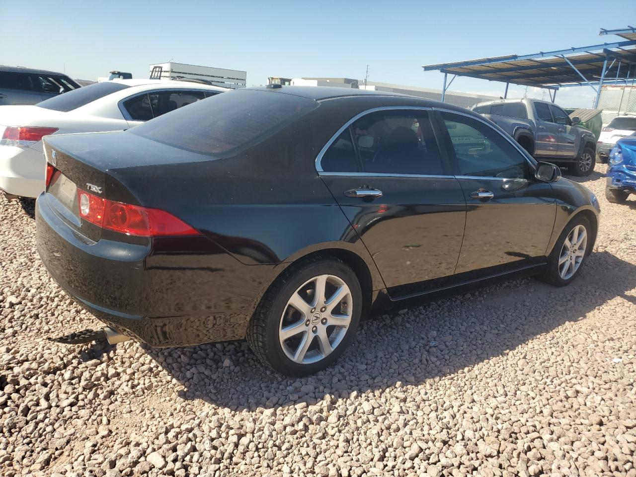 2005 Acura Tsx VIN: JH4CL96985C031239 Lot: 76557434