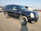 2008 Cadillac Escalade Luxury на продаже в Helena, MT - All Over