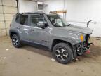 2020 Jeep Renegade Trailhawk en Venta en Ham Lake, MN - Front End