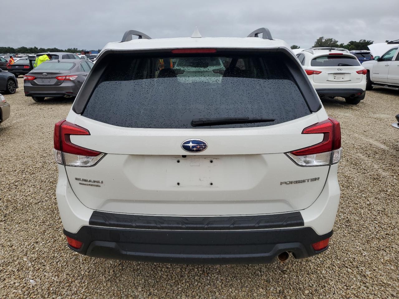 2019 Subaru Forester Limited VIN: JF2SKASC3KH436735 Lot: 74656524