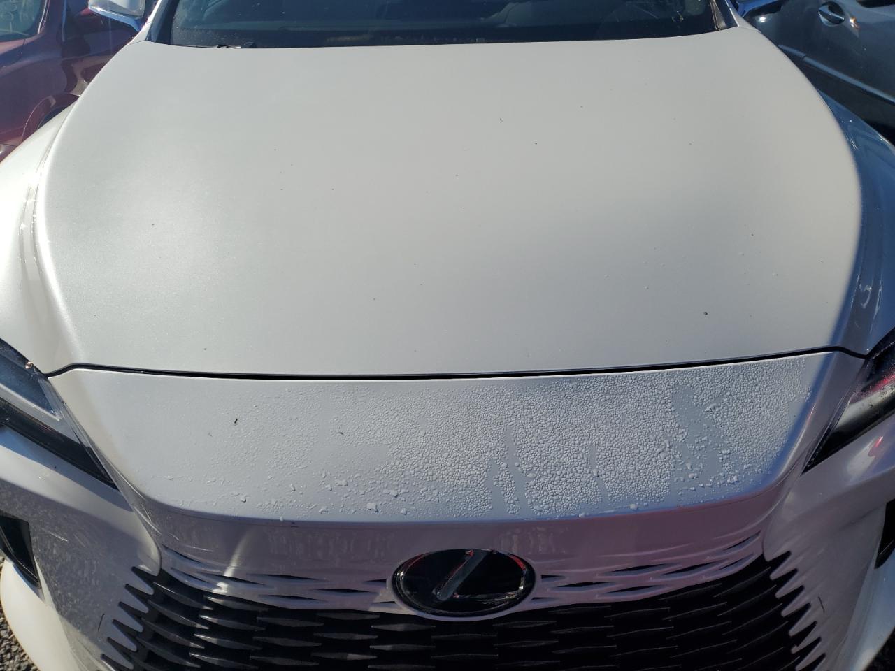 2023 Lexus RX - Image 5