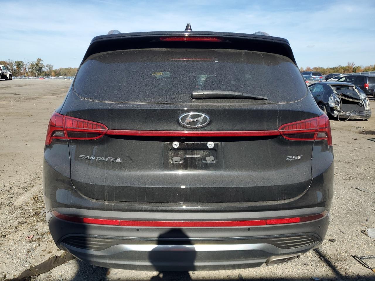 2023 Hyundai Santa Fe Limited VIN: 5NMS44AL8PH623468 Lot: 77897934