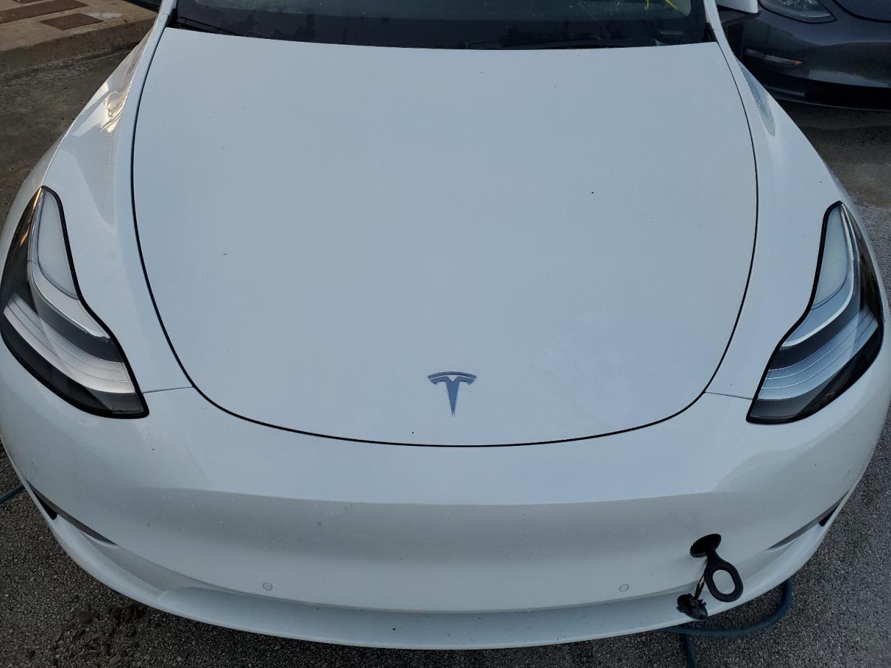 VIN 5YJYGDEE0LF006817 2020 TESLA MODEL Y no.12