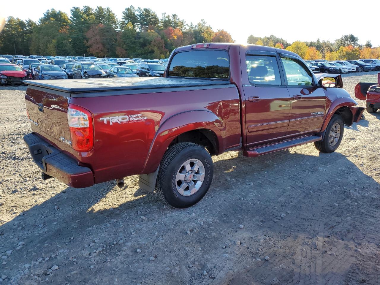 2004 Toyota Tundra Double Cab Limited VIN: 5TBDT48104S434542 Lot: 76390904